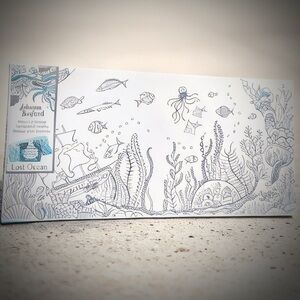 Lost Ocean Illustration Acrylic Canvas - Johanna basford $18 OBO NWT